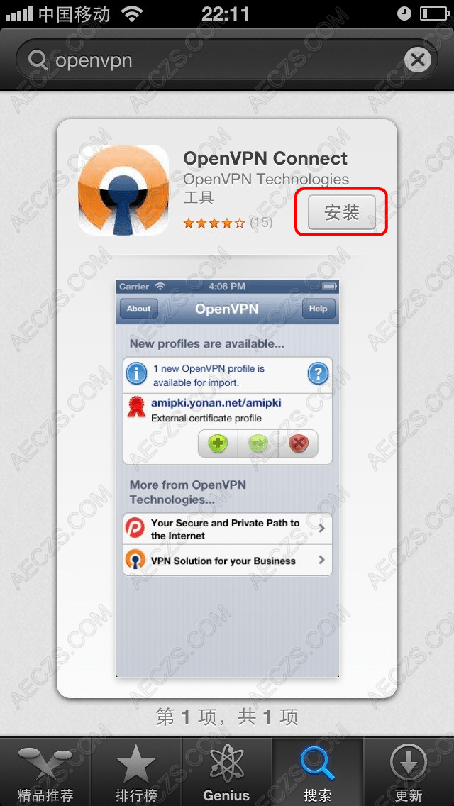 iOS OpenVPN设置教程（适用iPhone/iPad/iPod touch）